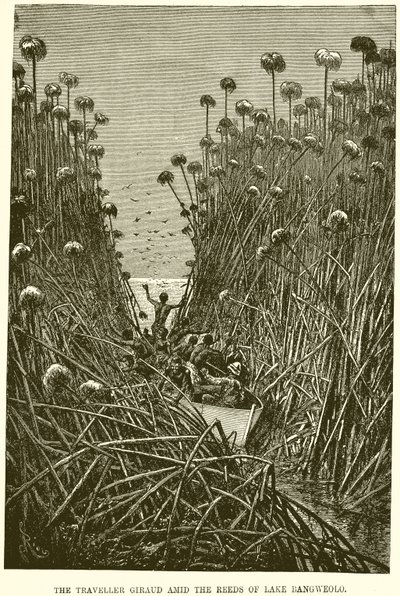 Le voyageur Giraud parmi les roseaux du lac Bangweolo - English School