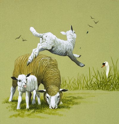 Le vilain petit canard (gouache sur papier) - English School