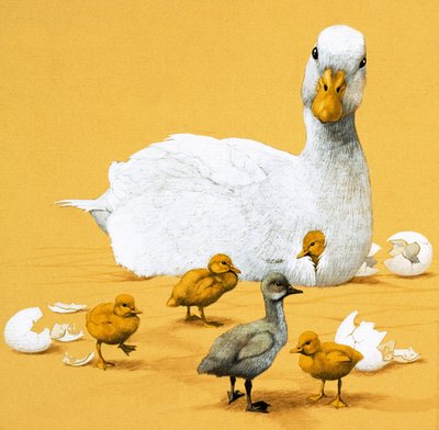 Le Vilain Petit Canard - English School