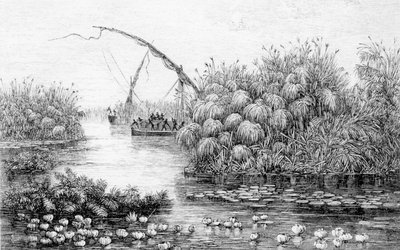 Les navires dans la barrière d