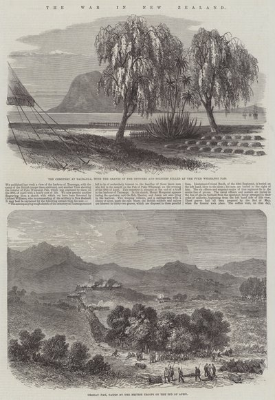 La guerre en Nouvelle-Zélande - English School