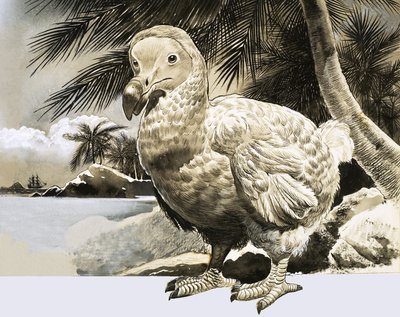 Le Monde de la Nature : L