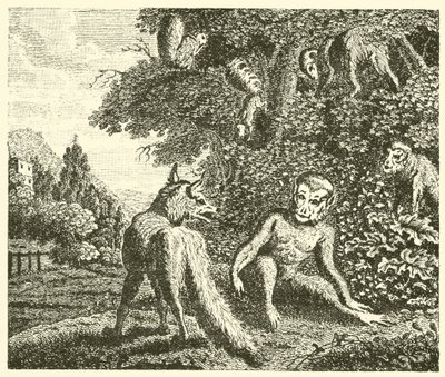 Le singe et le renard (gravure) - English School