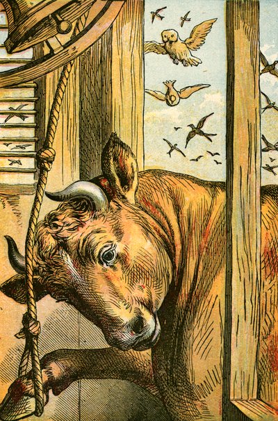 Le taureau sonnant la cloche - English School