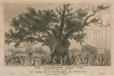 Le célèbre grand chêne, supposé avoir plus de 1800 ans - English School