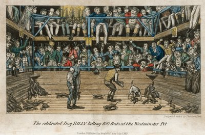 Le célèbre chien Billy tuant 100 rats à la fosse de Westminster (gravure coloriée) - English School