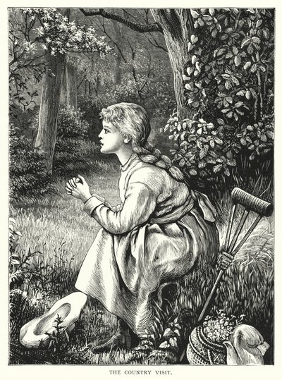 La visite à la campagne - English School
