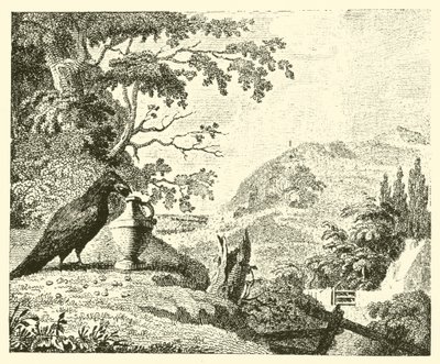 Le corbeau et le pichet - English School