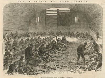 La détresse à East London - English School