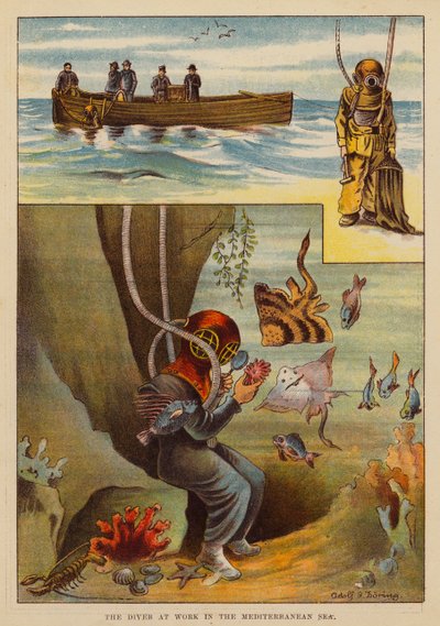 Le plongeur au travail en mer Méditerranée - English School