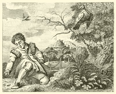 La colombe et la fourmi (gravure) - English School