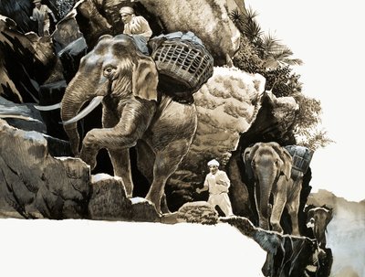 La randonnée des éléphants de Elephant Bill - English School