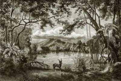 Le lac enchanté dans l