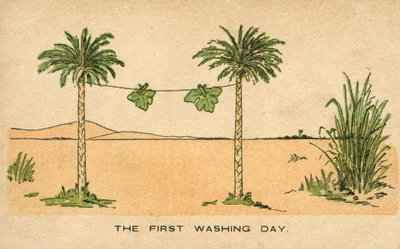 Le premier jour de lessive : les feuilles de figuier d