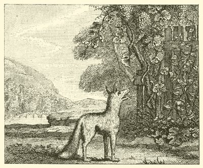 Le renard et les raisins - English School