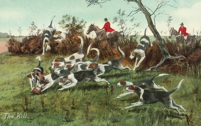 La chasse au renard - English School