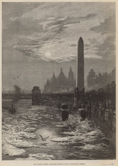 La Tamise gelée - mouettes tournoyant autour de l