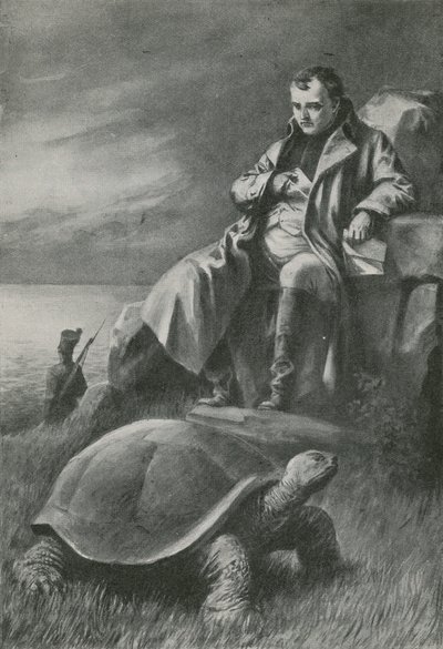 La tortue géante qui a vu Napoléon - English School