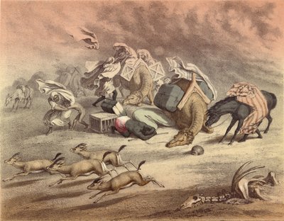 Le grand désert africain, caravane de chameaux, chevaux et ânes, pris par le Simoom, gazelles effrayées - English School