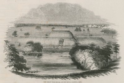 La grande maison des palmiers aux jardins royaux, Kew, Londres - English School