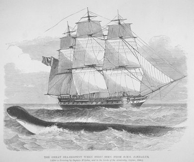 Le grand serpent de mer vu pour la première fois depuis le HMS Daedalus en 1848, vers 1848 (gravure) - English School