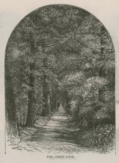 Le chemin vert, Holland House - English School