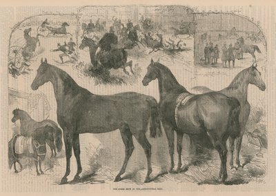 Le salon du cheval au Hall agricole - English School