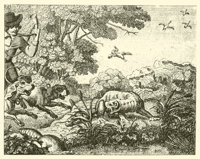 Le castor chassé (gravure) - English School