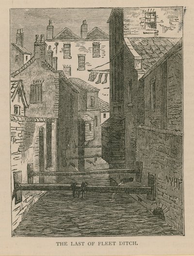 Le dernier de Fleet Ditch - English School