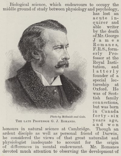 Le défunt Professeur G J Romanes (gravure) - English School