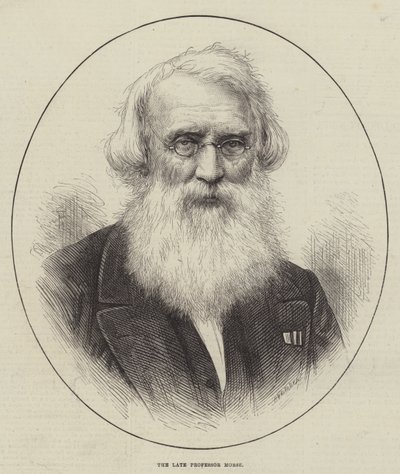 Le défunt professeur Morse - English School