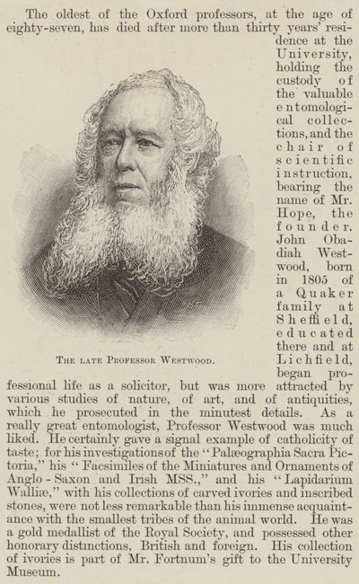 Le défunt professeur Westwood (gravure) - English School