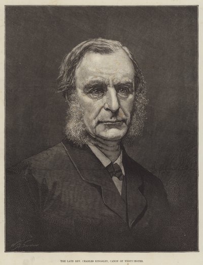 Feu le révérend Charles Kingsley, chanoine de Westminster (gravure) - English School