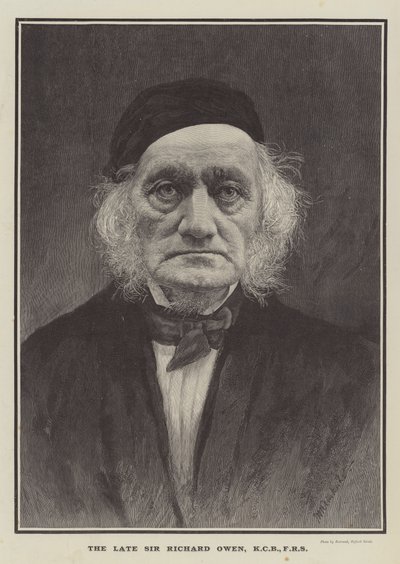 Feu Sir Richard Owen, KCB, FRS (gravure) - English School