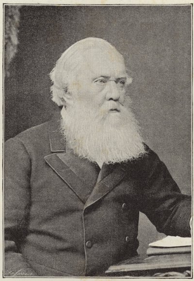 Feu le très honorable Sir Austin Henry Layard - English School