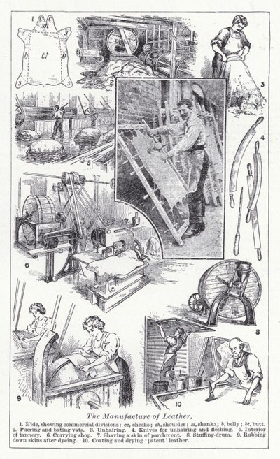 La fabrication du cuir - English School