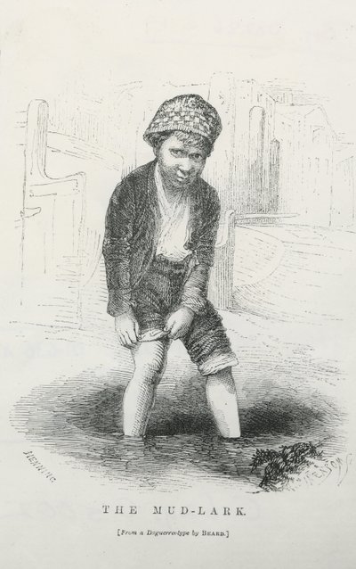 Le ramasseur de boue - English School