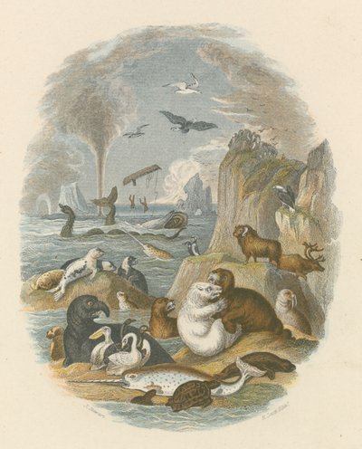 Le monde naturel - English School
