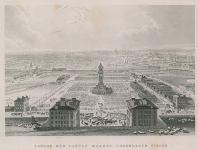 Le nouveau Marché aux Bestiaux Métropolitain, Copenhagen Fields, Londres - English School