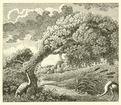 Le chêne et le roseau - English School