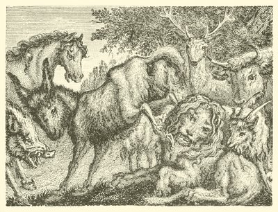 Le vieux lion (gravure) - English School