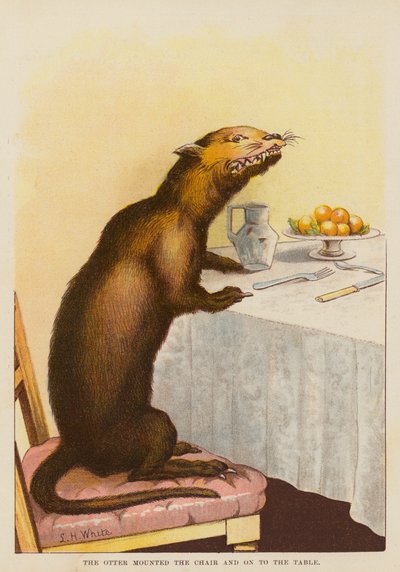 La loutre monta sur la chaise et sur la table - English School