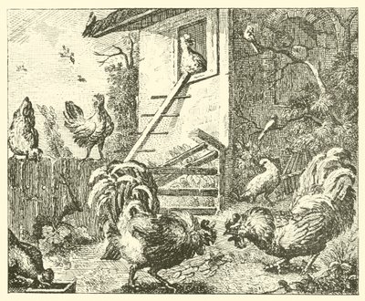 La perdrix et les coqs - English School