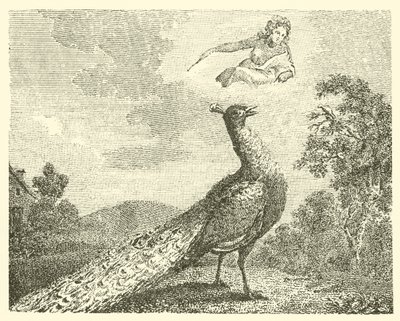La plainte du paon (gravure) - English School