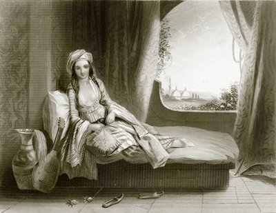 La fierté du harem - English School