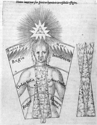 La science de l