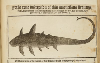 La véritable description de ce poisson merveilleux et étrange, 1569 - English School