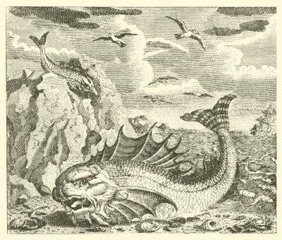 Le thon et le dauphin - English School