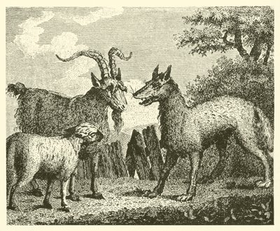 Le loup, l
