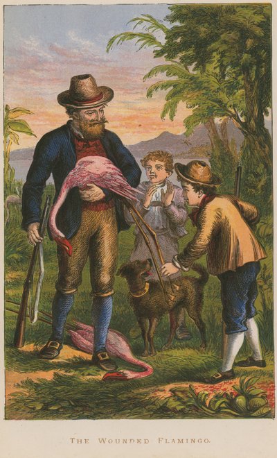 Le flamant blessé - English School